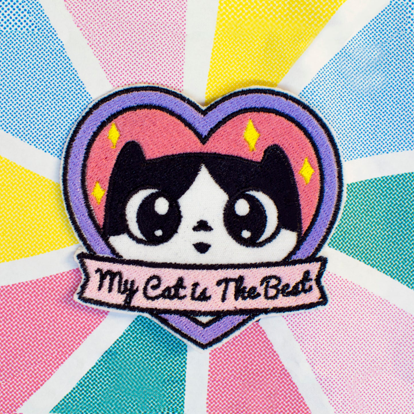 Parche Fermin (my cat is the best)