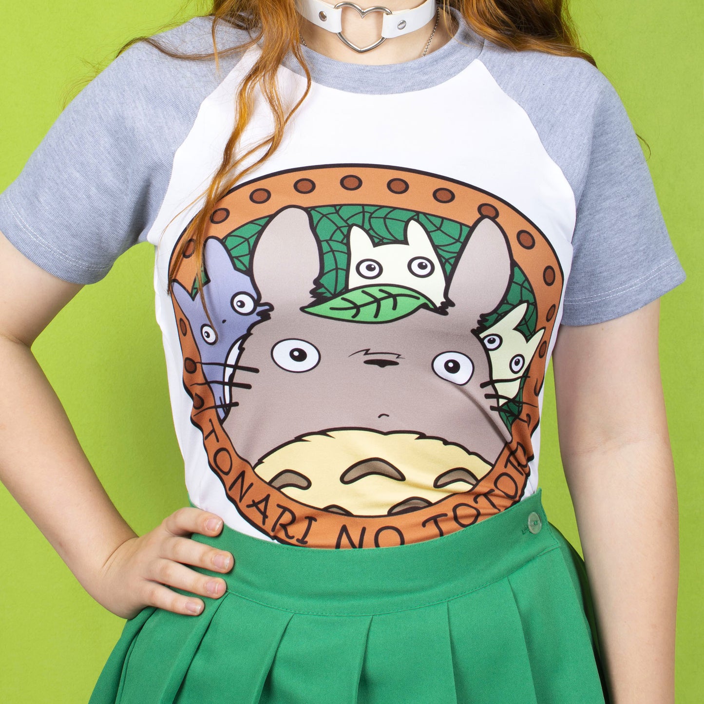 Basic Totoro