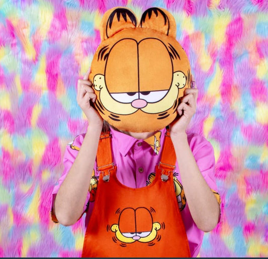 Cojin Garfield