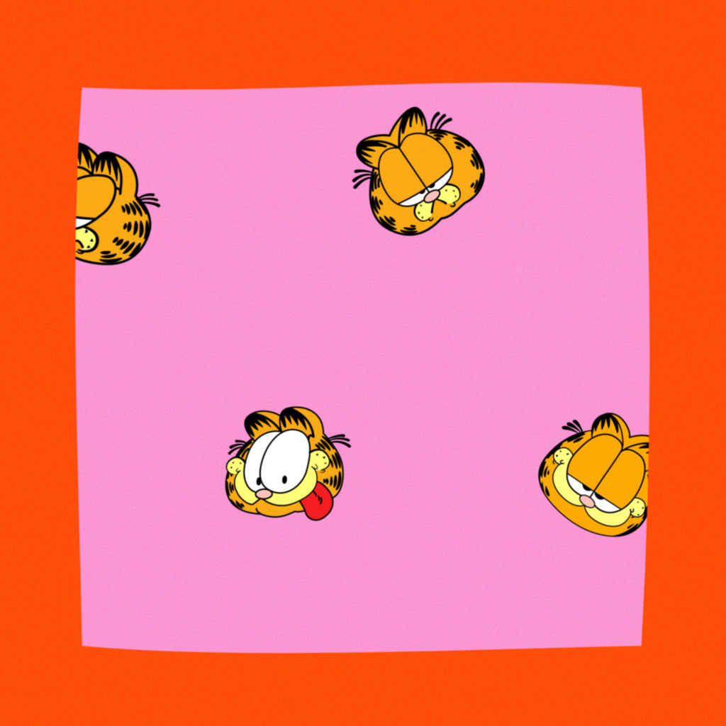 Hawaiana Garfield